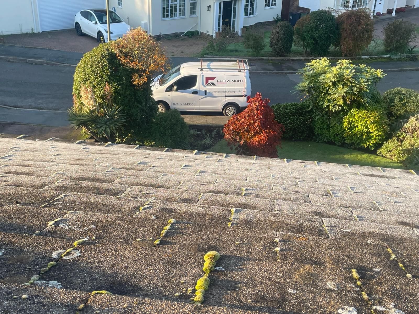 Your Roofing Needs?